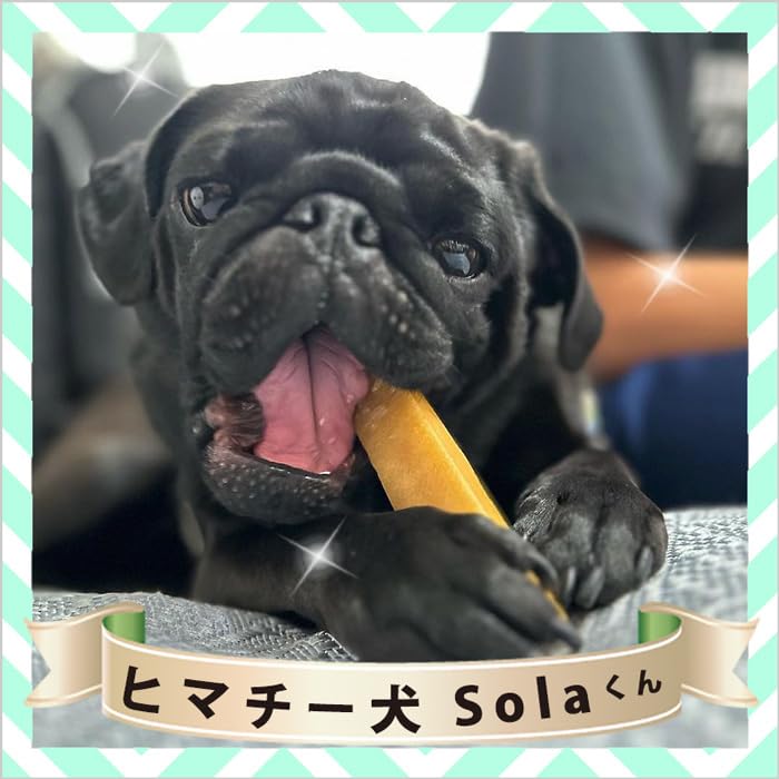 特価☆Mサイズ×20本ヒマラヤチーズ☆ヒマチー☆犬ガム　輸入許可書あり Amazon | 正規品ヒマチー Mサイズ（単品）約70g ヒマラヤチーズ